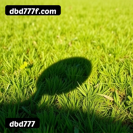 FAQ dbd777 Brasil - Perguntas frequentes sobre bônus, PIX, RTP, APP mobile e VIP
